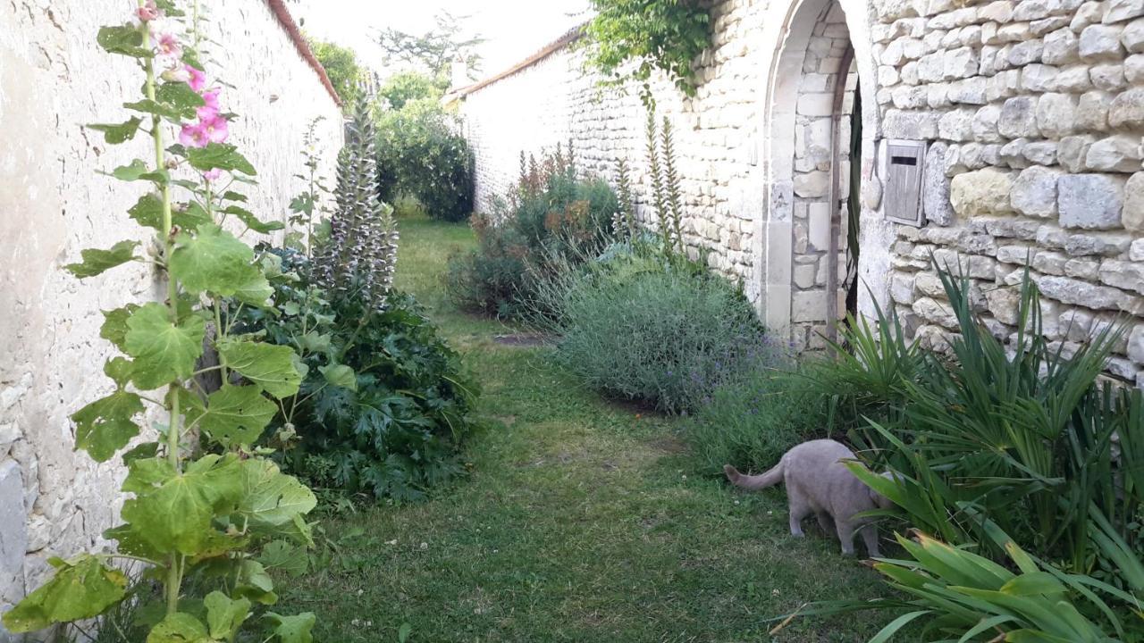 Les Jardins De Clerjotte Bed and Breakfast Saint-Martin-de-Ré Εξωτερικό φωτογραφία