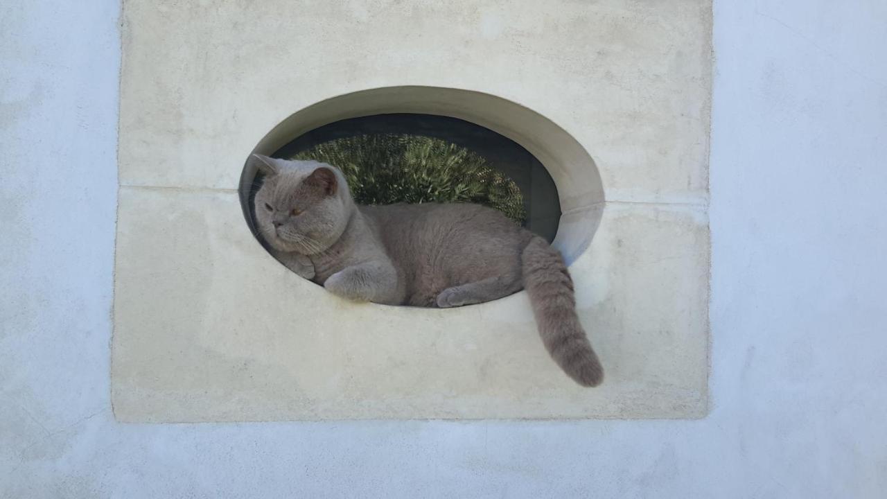Les Jardins De Clerjotte Bed and Breakfast Saint-Martin-de-Ré Εξωτερικό φωτογραφία